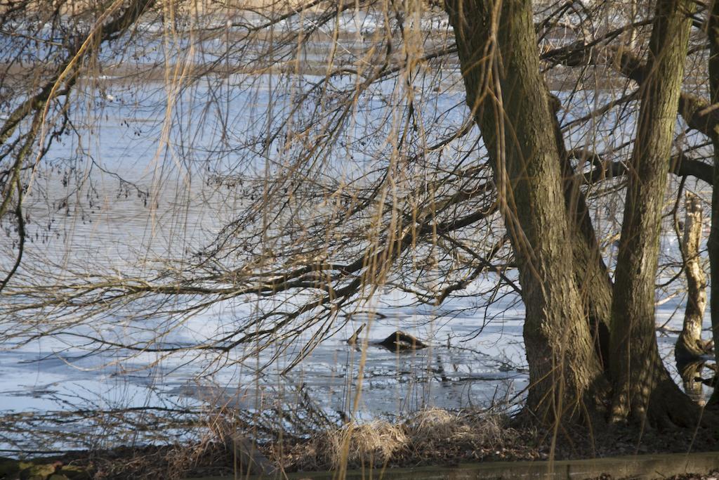 Villa Weissensee Potsdam Buitenkant foto